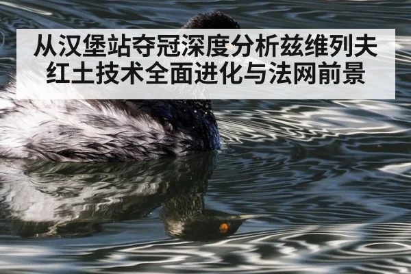 从汉堡站夺冠深度分析兹维列夫红土技术全面进化与法网前景